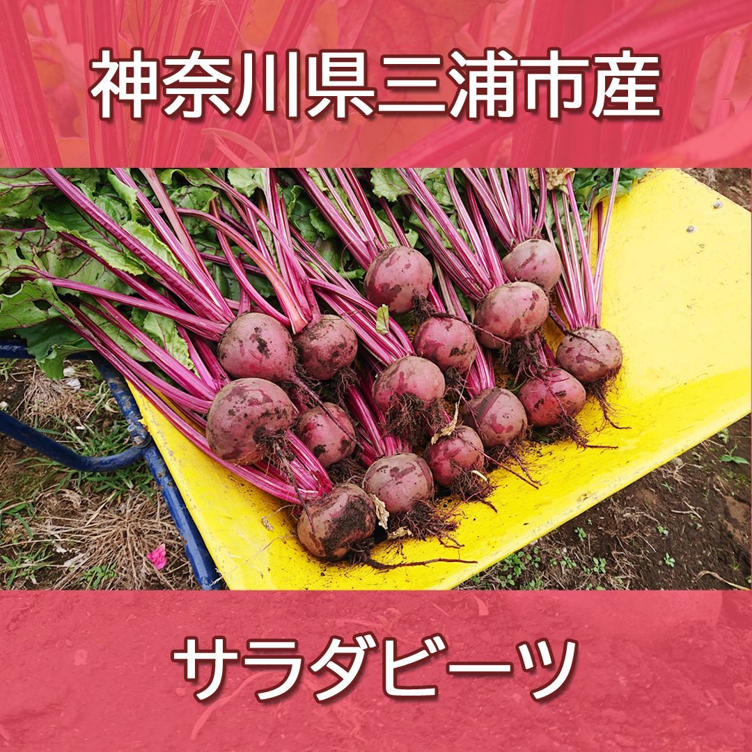 健康野菜