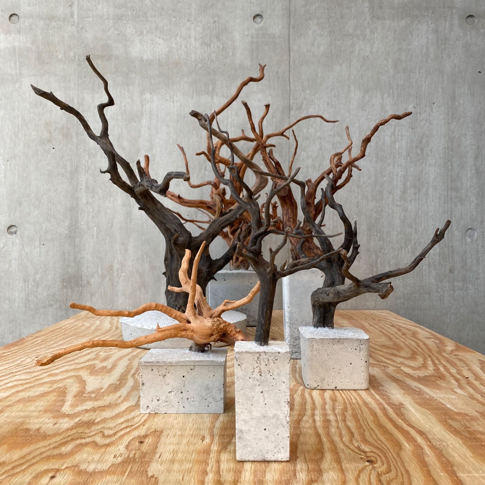 コンクリート盆栽 流木 オブジェ ディスプレイ 高級感 アート アクセサリー - 置物