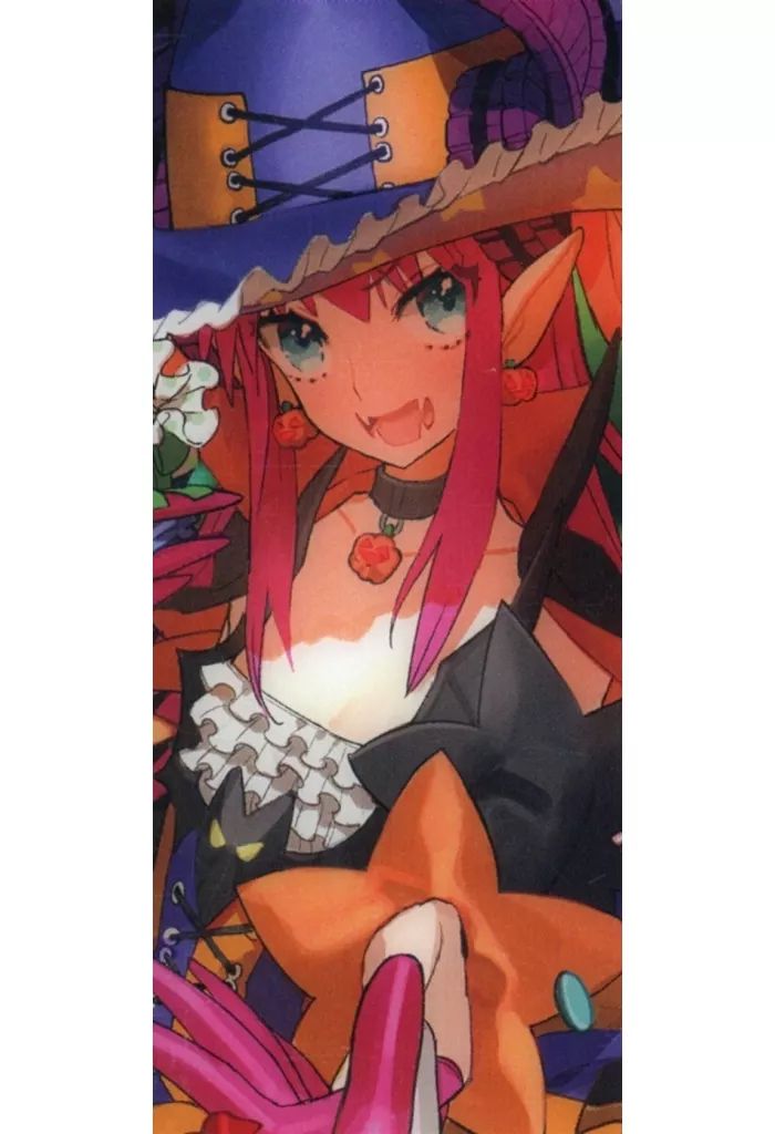 中古】キャラカード キャスター/エリザベート・バートリー〔ハロウィン