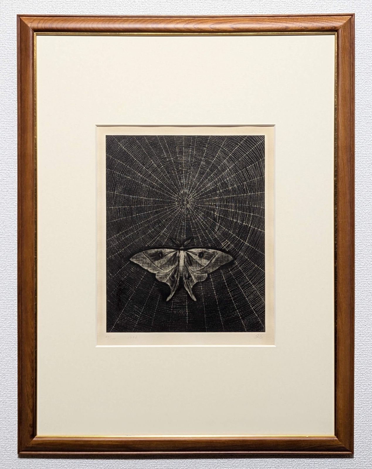 真作 直筆サイン 加山又造 蛾 銅版画 額付