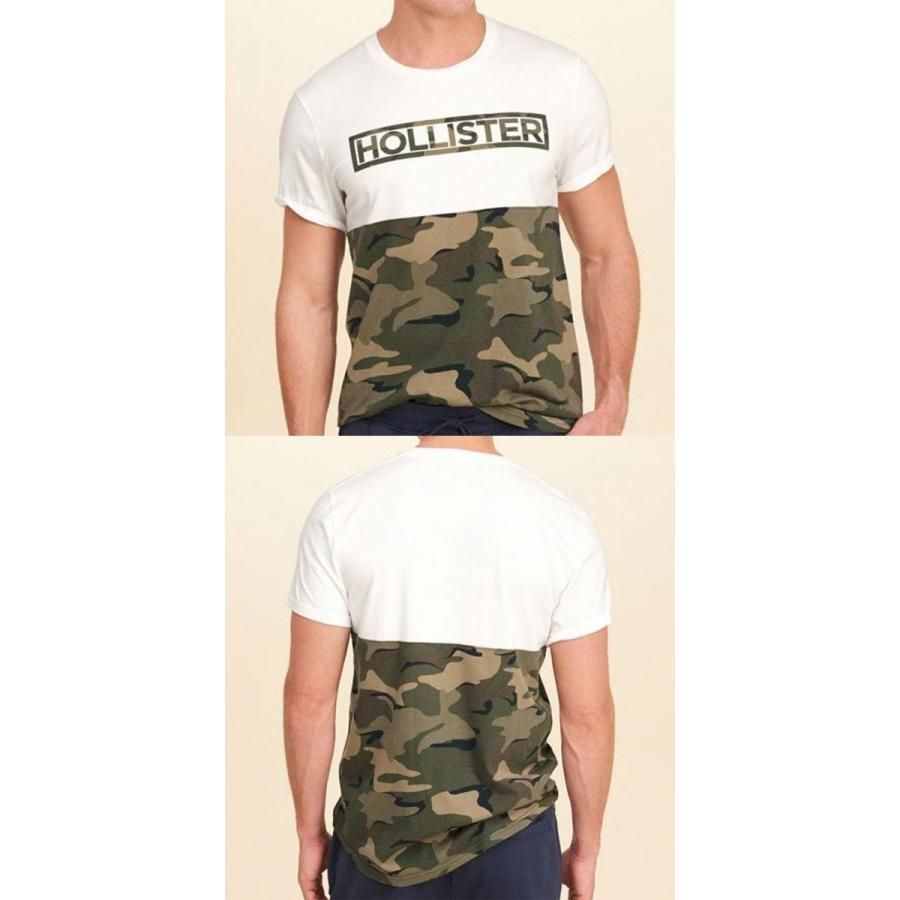 新品未使用 holl-038 半袖 Tシャツ HOLLISTER ホリスター正規品 メンズ 
