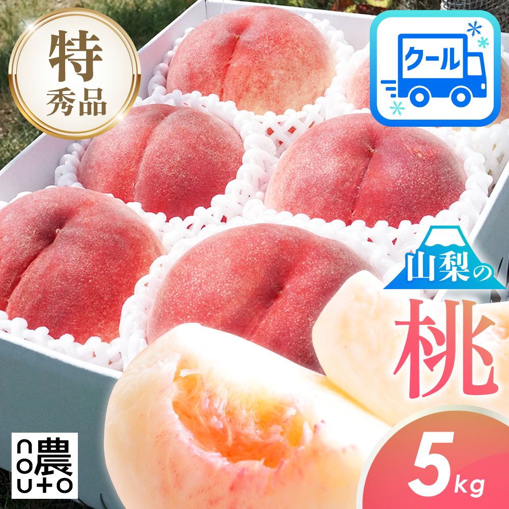 【クール便利用】山梨県産 ギフト用高級特大桃 5kg 桃 もも 秀品 5kg 山梨県産 品種おまかせ クール便 - メルカリ
