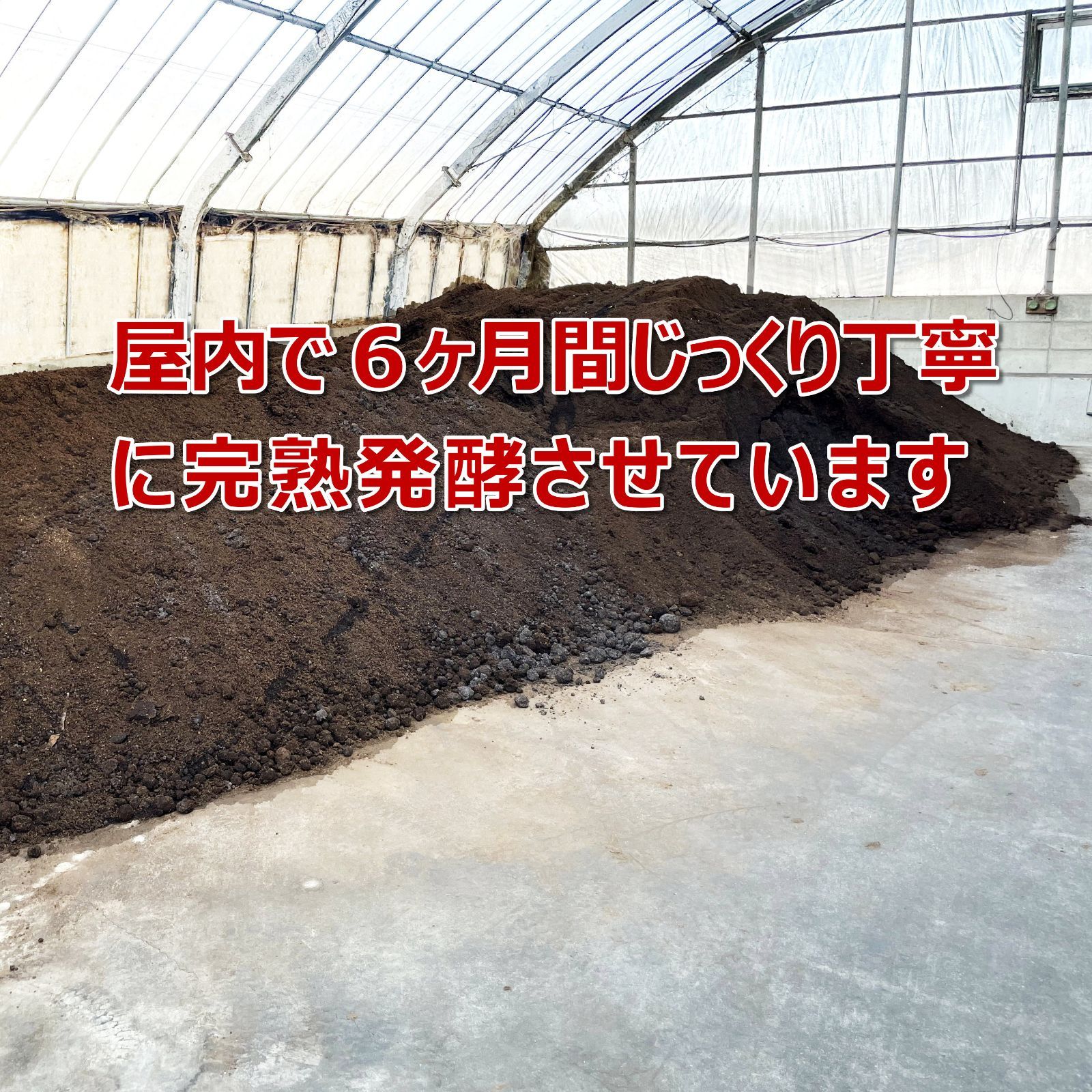 のサムネイル