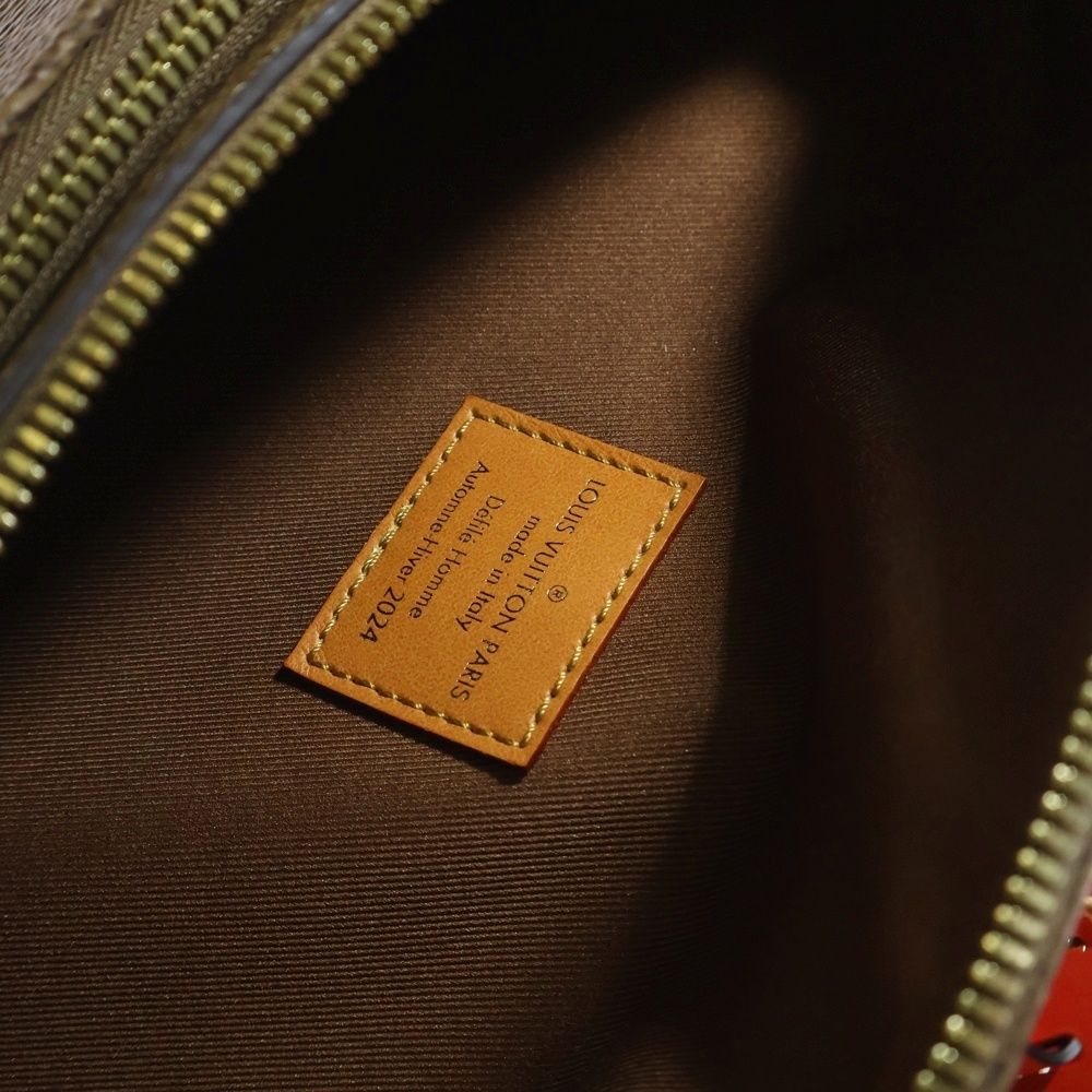 LOUIS VUITTON (ルイヴィトン) モノグラム・ダスト キャンバス