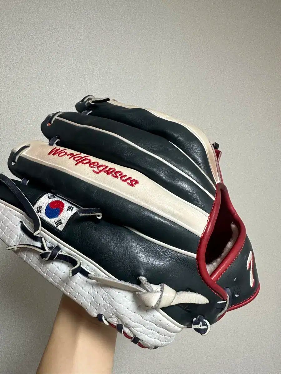 ワールドペガサス WBC キム・ハソン 内野グローブ - メルカリ