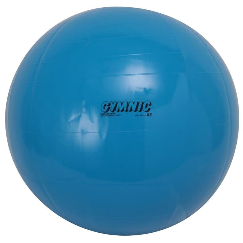 ダンノ DANNO バランスボール ギムニク ボール65 ブルー Φ65cm D5432 1