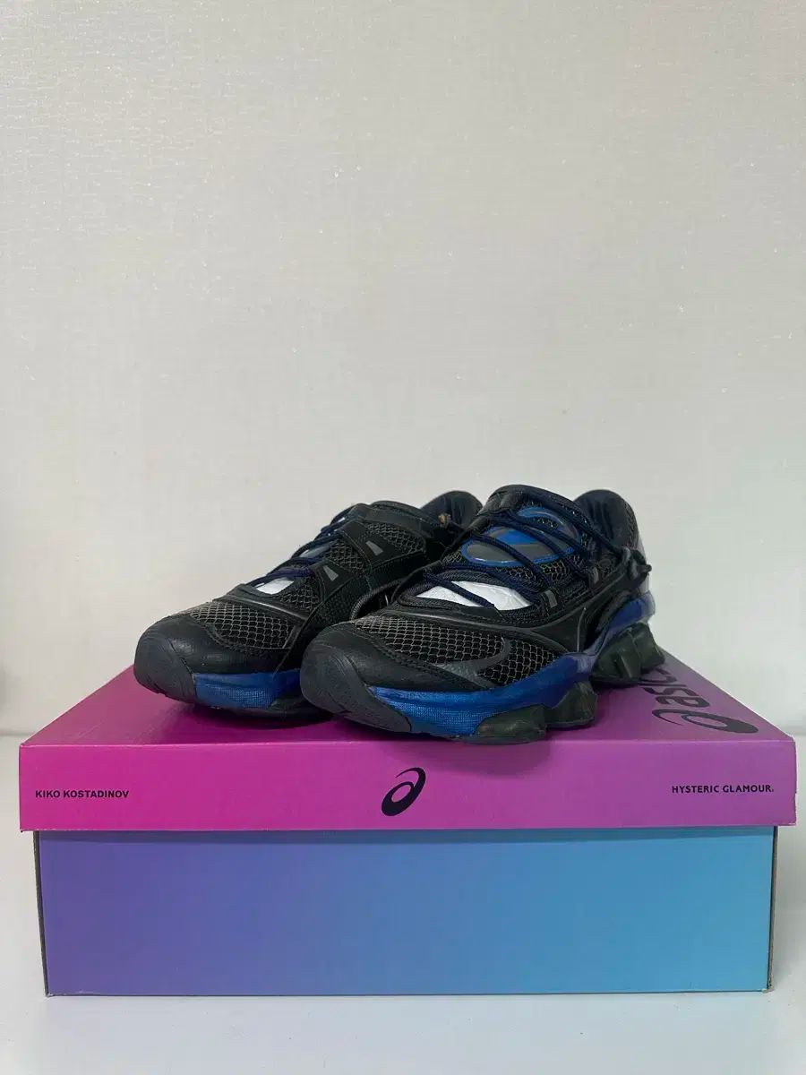 アシックス キココスタディノブ