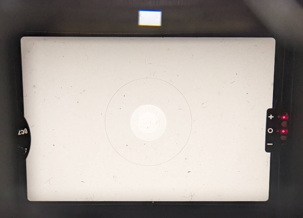  ニコン NIKON FM ボディ パンダ 2646 一眼レフカメラ(フィルム) フィルムカメラ