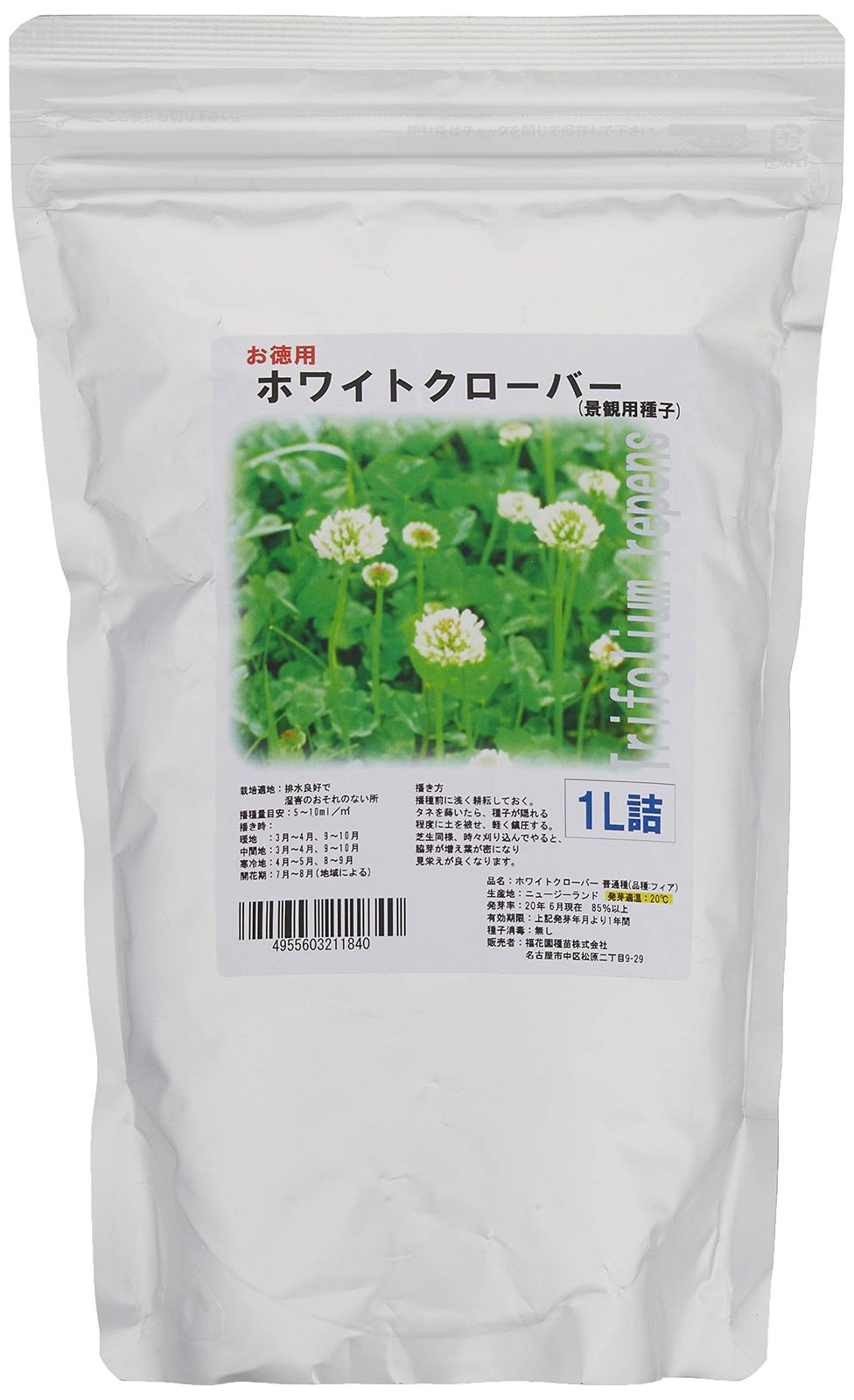 「8月入荷新鮮」10粒にユーフォルビア ハドラマウチカの種子 8月入荷新鮮」10粒にユーフォルビア ハドラマウチカの種子 8月入荷新鮮」10