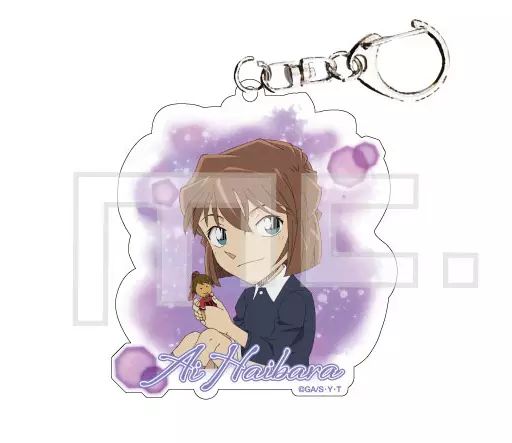 灰原哀物語 アクリルキーホルダー 中古】キーホルダー・マスコット(キャラクター) 灰原哀 人をダメにする