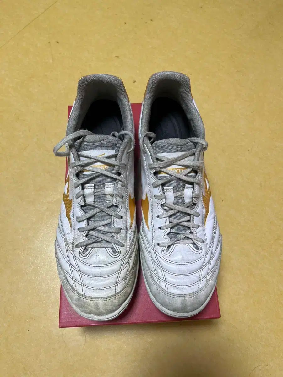 mizuno(ミズノ) モナルシーダ フットサルシューズ ( tf ）
