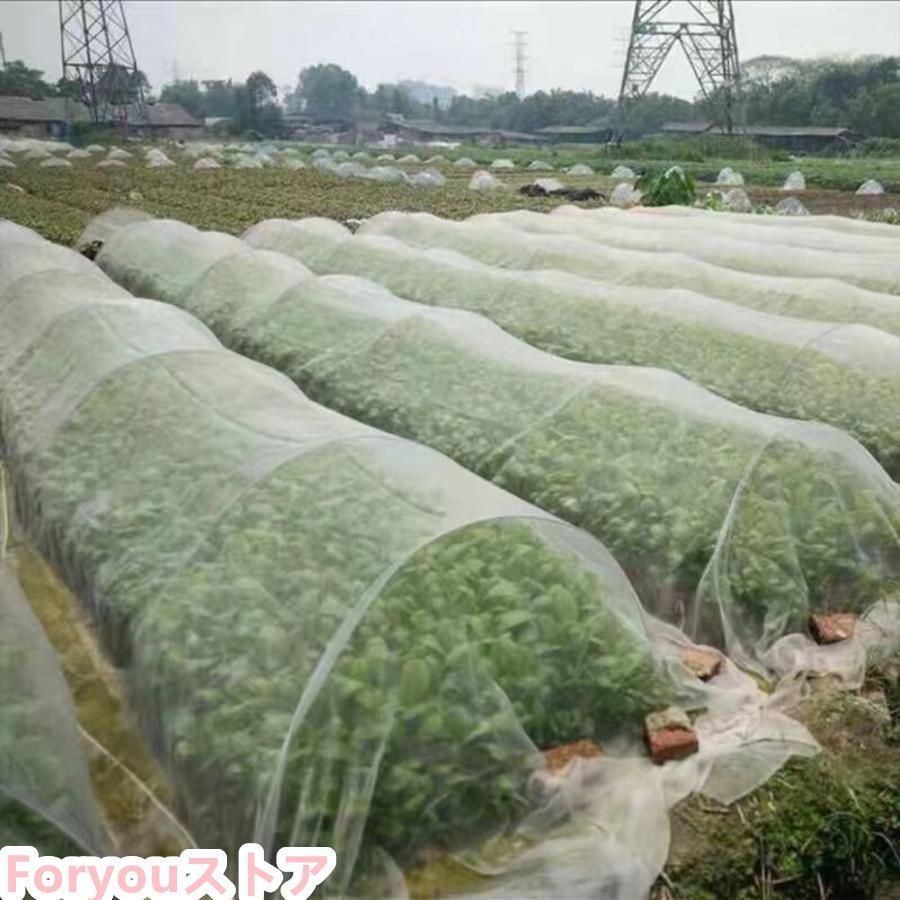 害虫