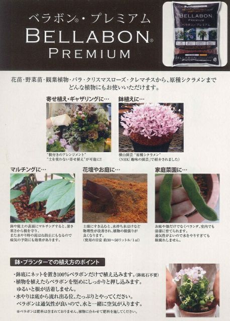 フジック ベラボン