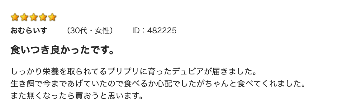 冷凍デュビア Lサイズ 100g （70匹前後）