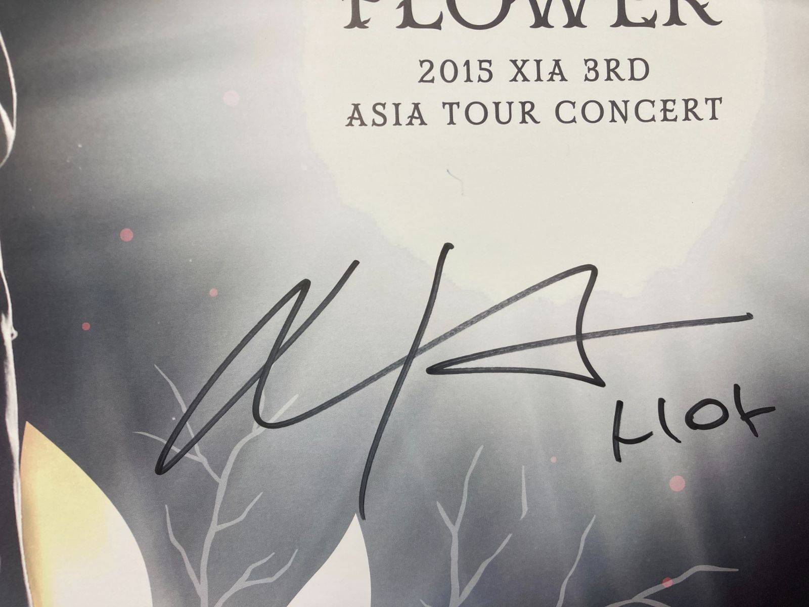 ミュージック XIA JUNSU /FLOWER 2015 XIA 3RD ASIA TOUR Concert] XIA