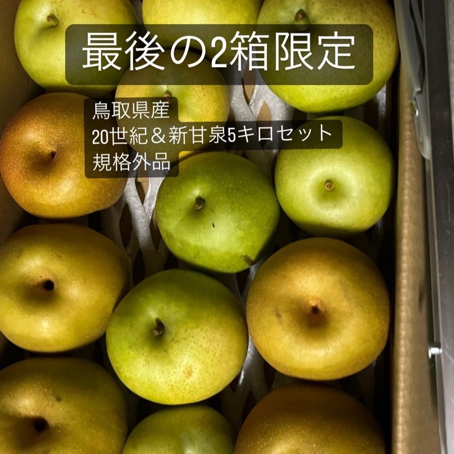 鳥取県産20世紀梨　小玉＆格外品