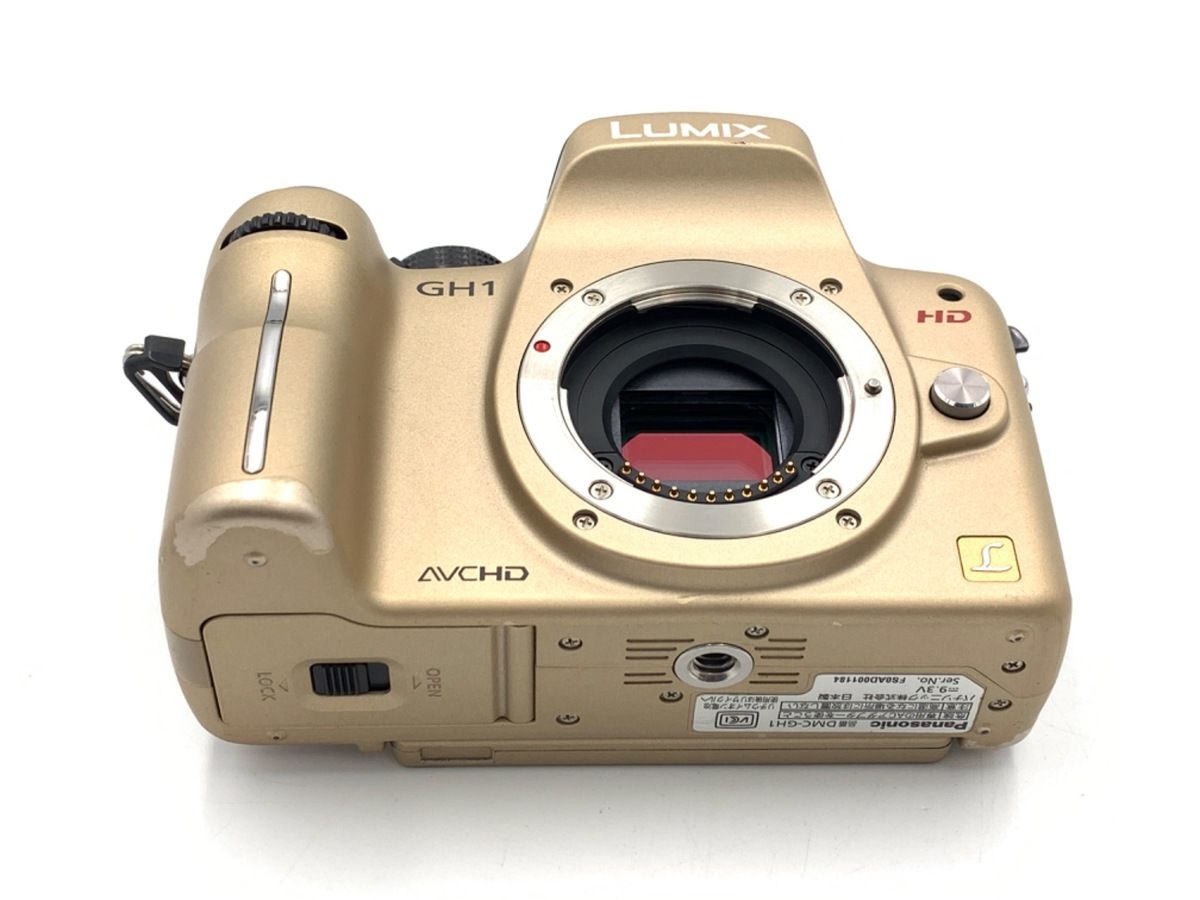 Panasonic ミラーレス一眼レフカメラ DMC-GH1 レンズ G VARIO 1:3.5