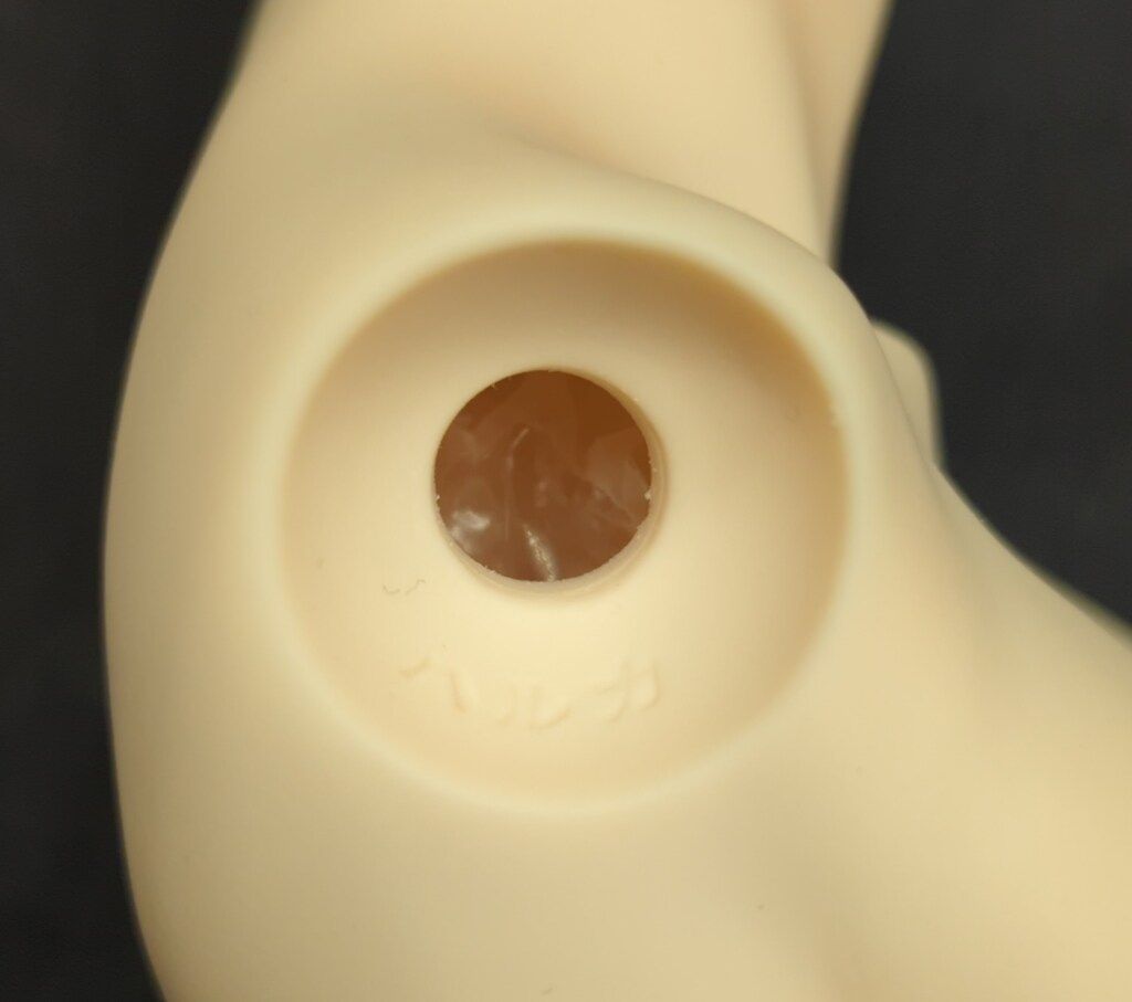 上胴