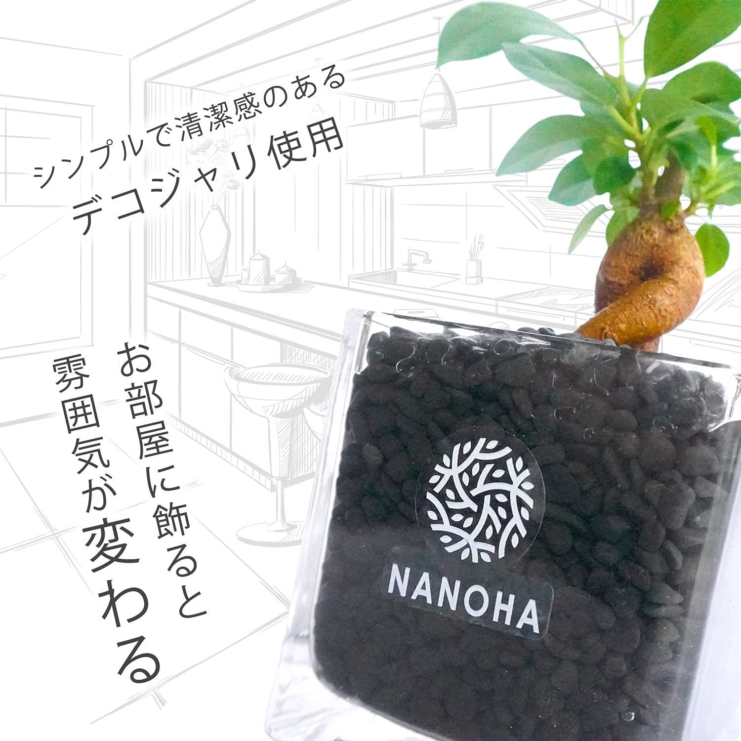 観葉植物 土をつかっておらず衛生的