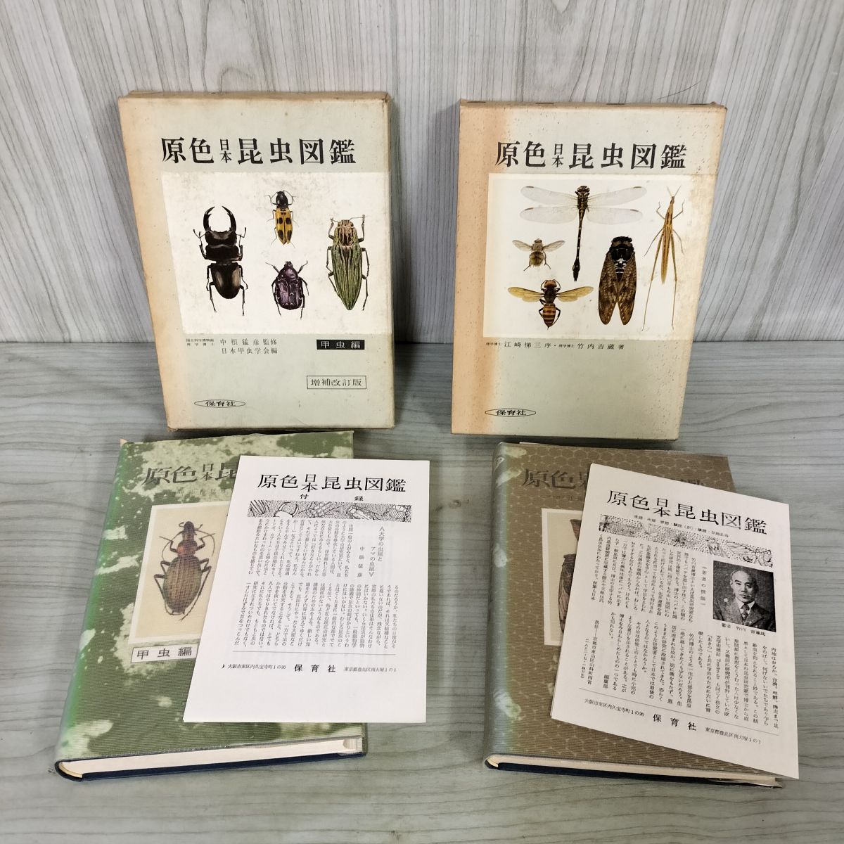 計2冊 原色日本蛾類幼虫図鑑 上下 監修 一色周知 080062