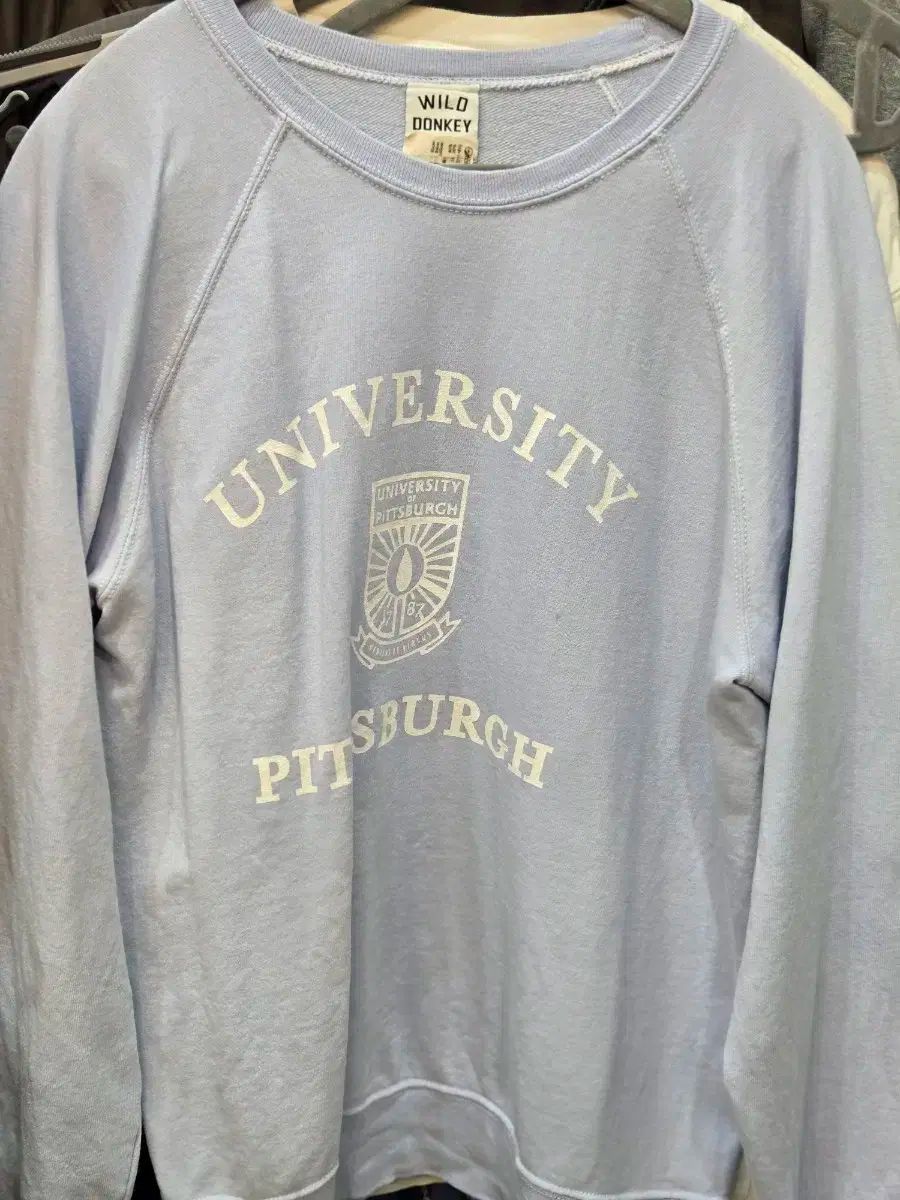 ワイルドドンキー ピッツバーグ大学 スウェット スカイブルー