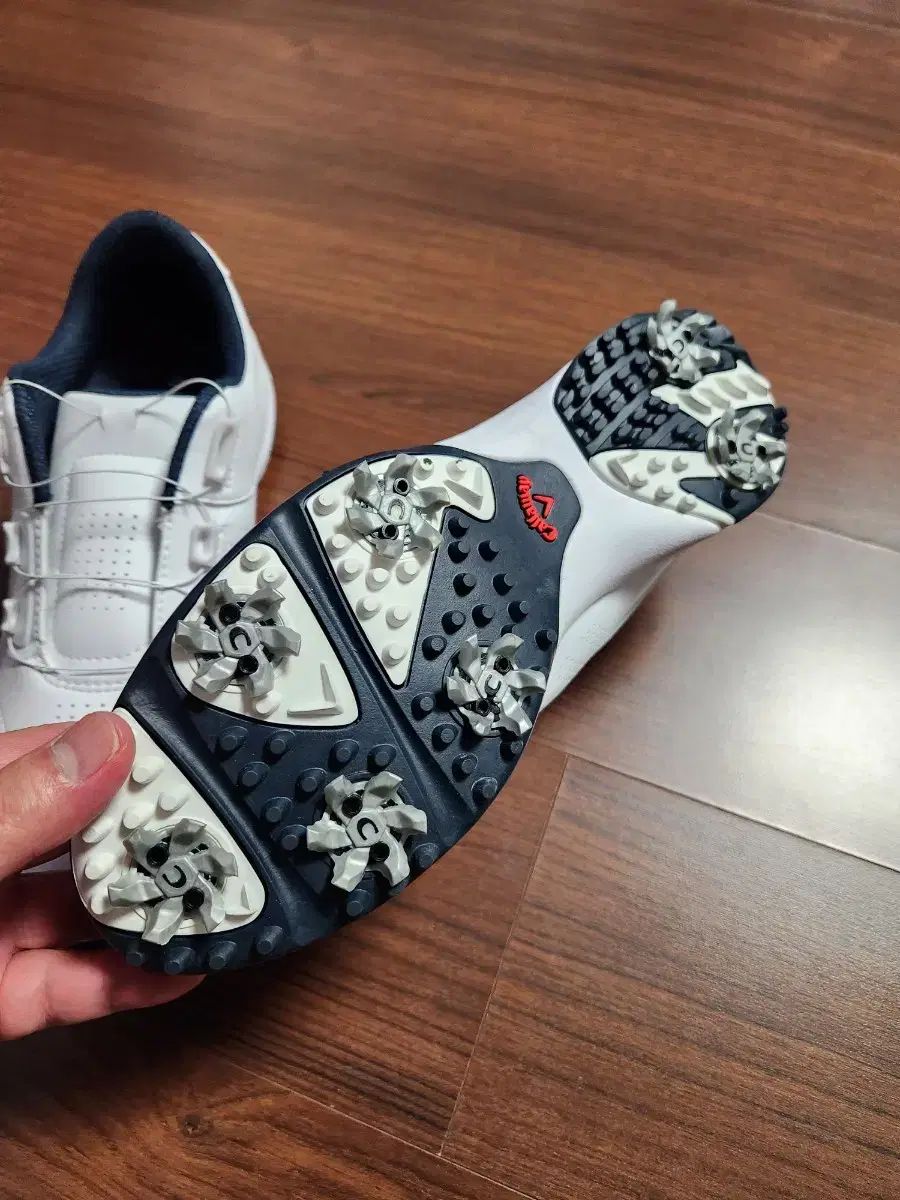 Callaway キャロウェイ ゴルフシューズ LLC-HASEGAWATOSO_COM