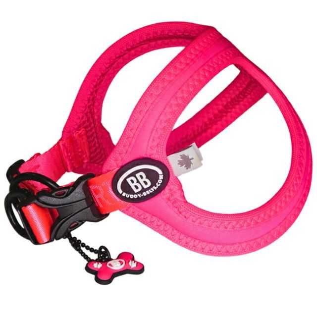 BUDDYBELT バディベルト