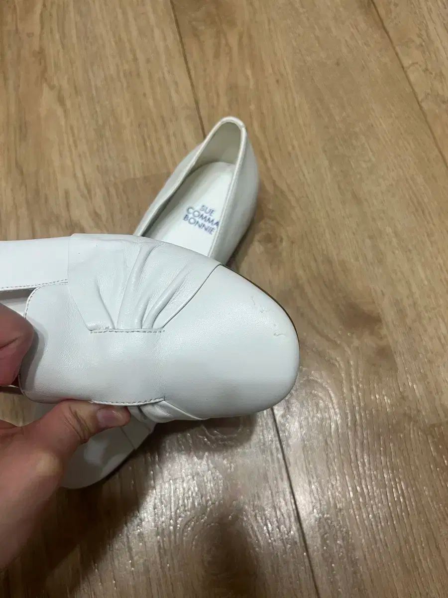 シューコンマボニー