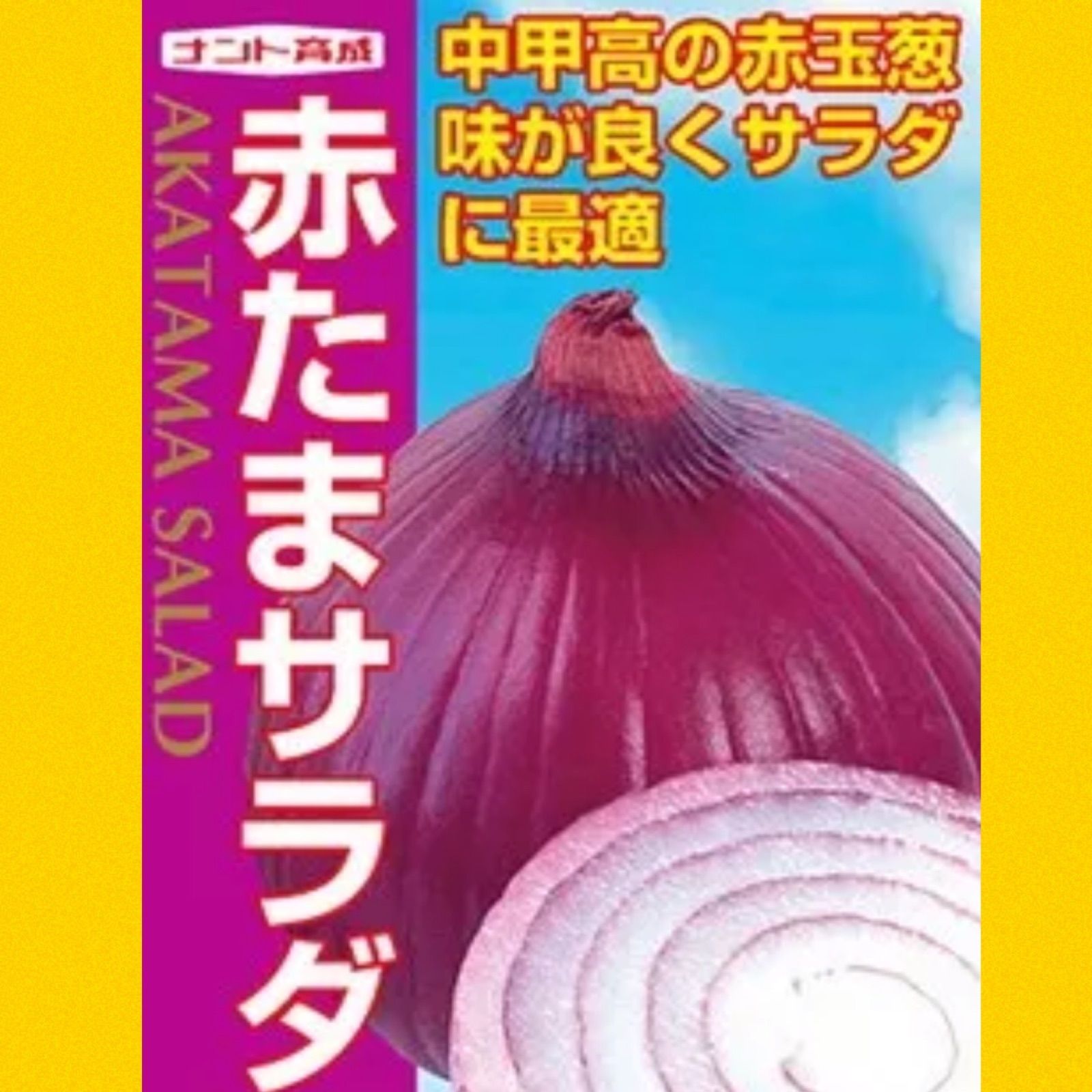 赤玉ねぎ苗300本‼️ - メルカリ