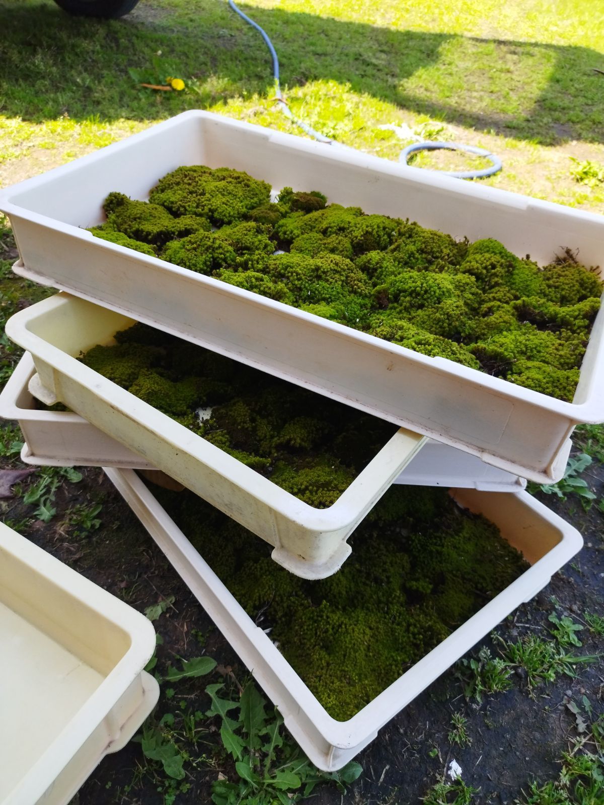 サイズ×⑩セット