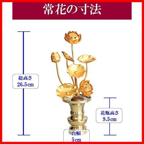 7本立 一対