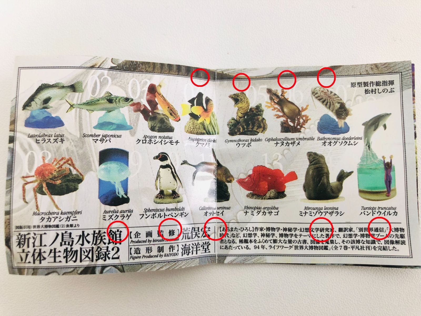 新江ノ島水族館立体生物図録2 Amazon.co.jp: 新江ノ島水族館立体生物図録2 全15種 : ペット用品