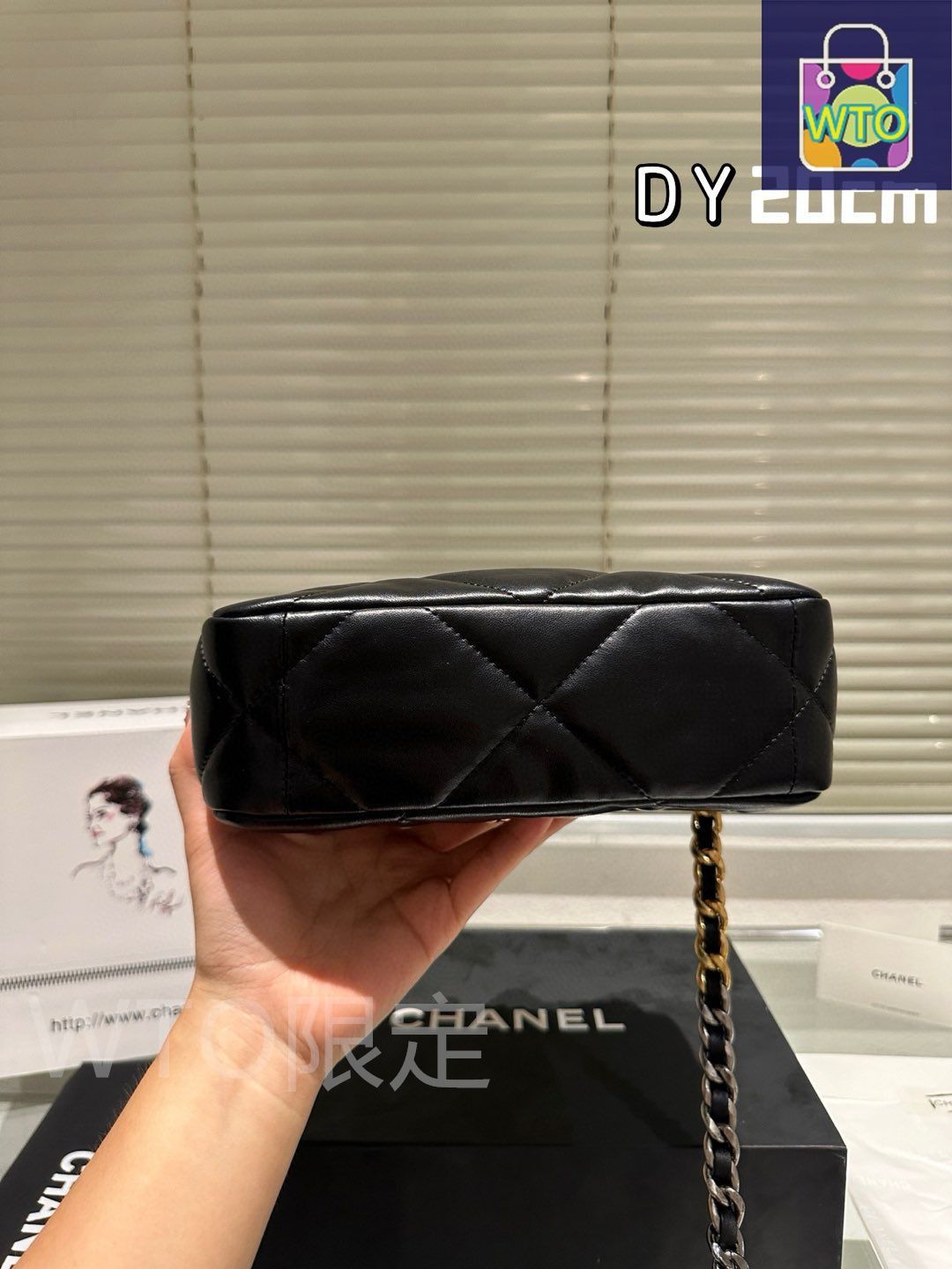 今日特価】CHANEL 19 フラップバッグ 20cm ゴートスキン