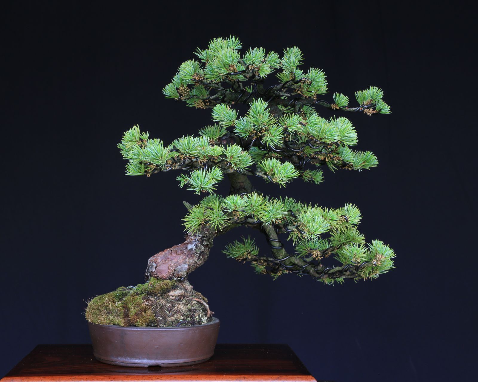 父の日 敬老の日