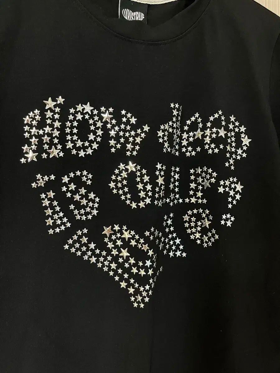 LUVISTRUE(ラブイズトゥルー) クロップド Tシャツ DN HOTFIX