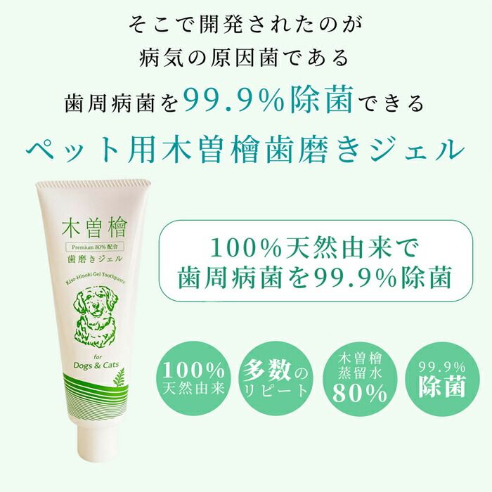 ペット