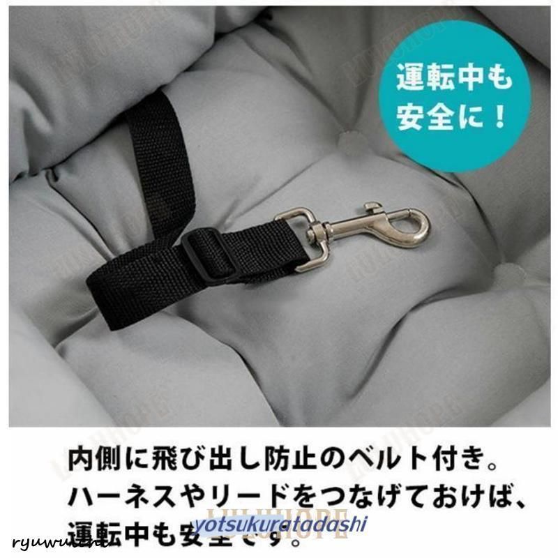 ドライブベッド