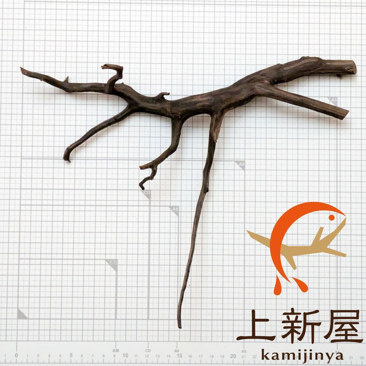 受注品：流木 約32x25x8cm ブラックブランチウッドS 複数同時購入で2品目以降