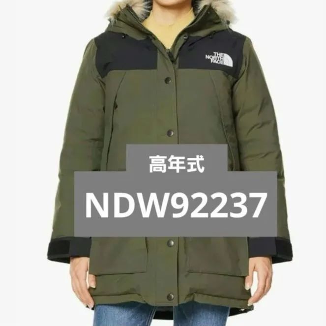 人気色❗ノース フェイス マウンテン ダウン コート ゴアテックス 