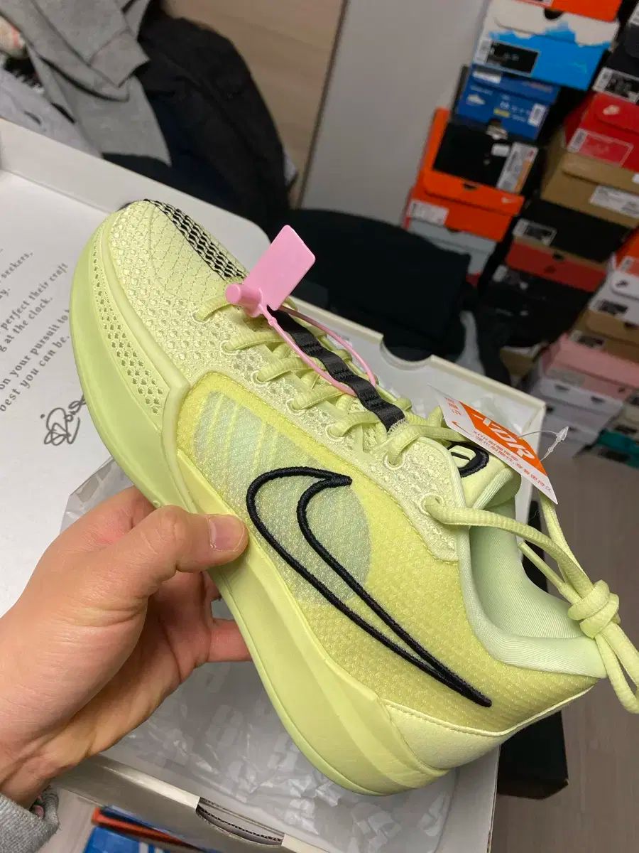 NIKE(ナイキ) サブリナ 1 255 新品