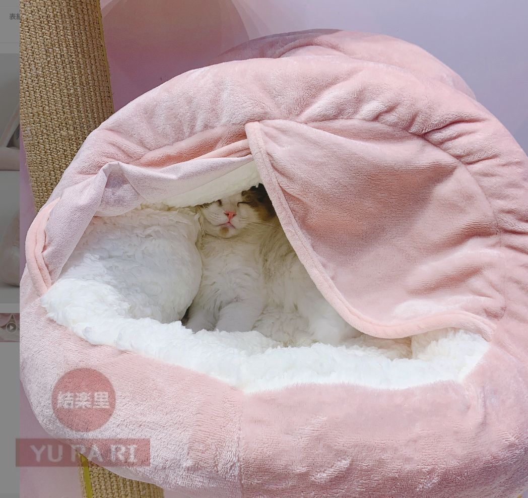 猫用