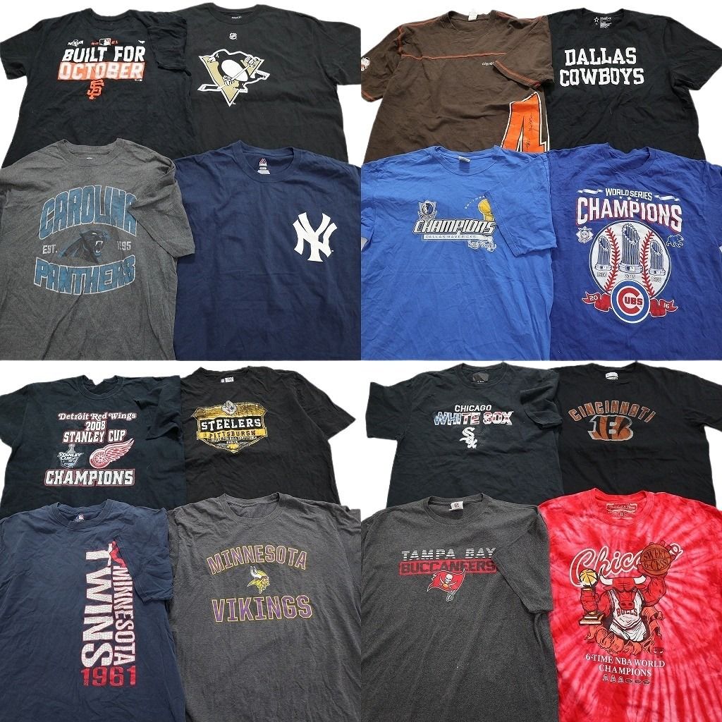 古着卸 まとめ売り プロチーム 半袖Tシャツ 16枚セット (メンズ