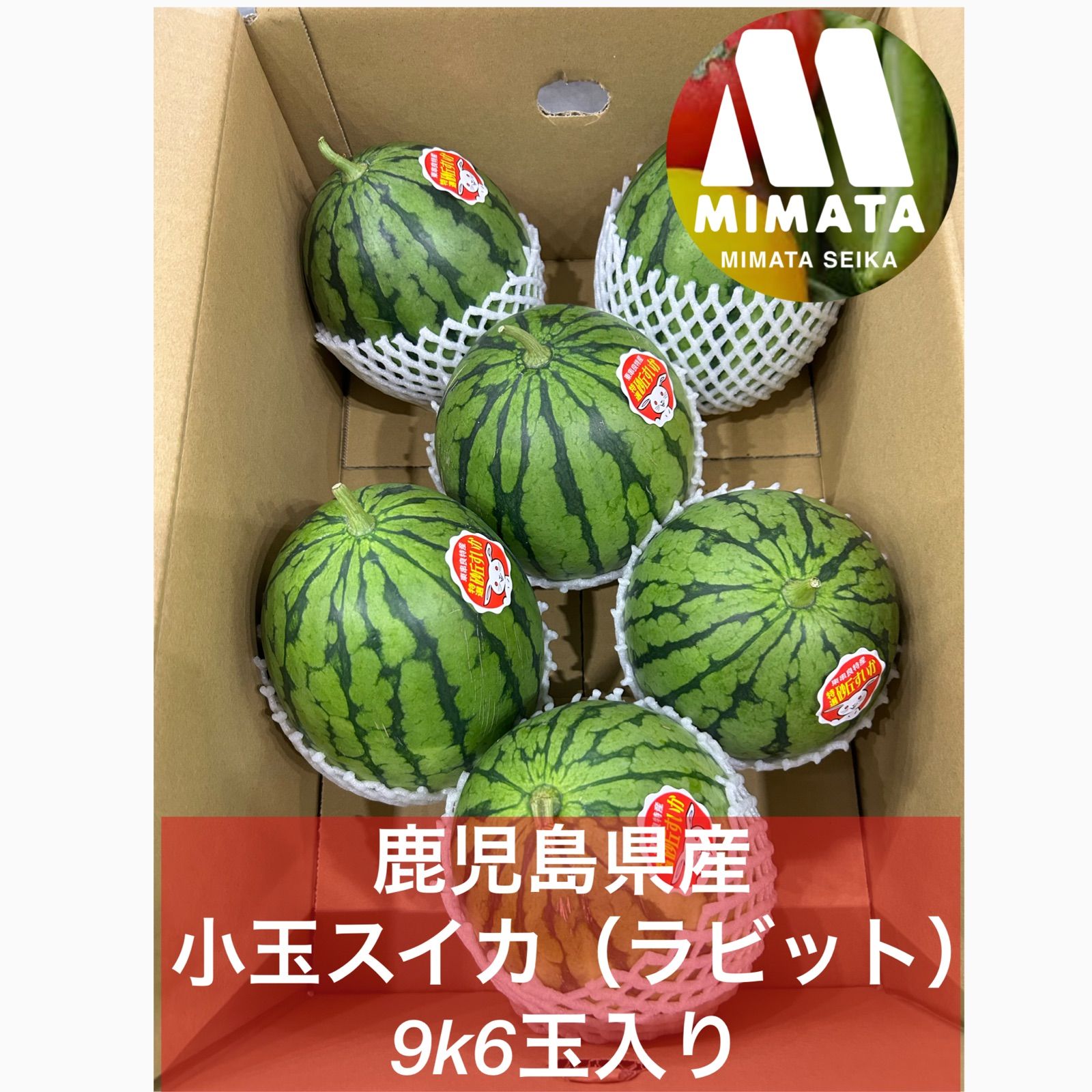 鹿児島県産 小玉スイカ ラビット 9k 6玉入り