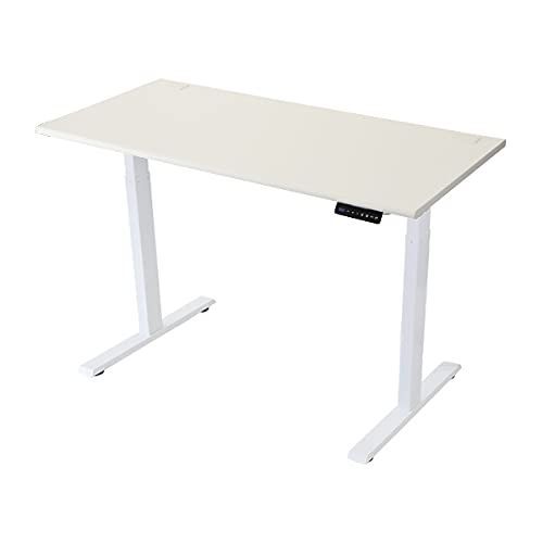 昇降デスク 電動 エコノミーモデル PSE適合 W1600×D800×H740～1225mm 耐荷重約100kg(脚部) スタンディングデスク 上下昇降 デスク 高さ調整 エルゴノ dk12-160stl (天板色:ホワイト(天板))(脚色:ホワイト(
