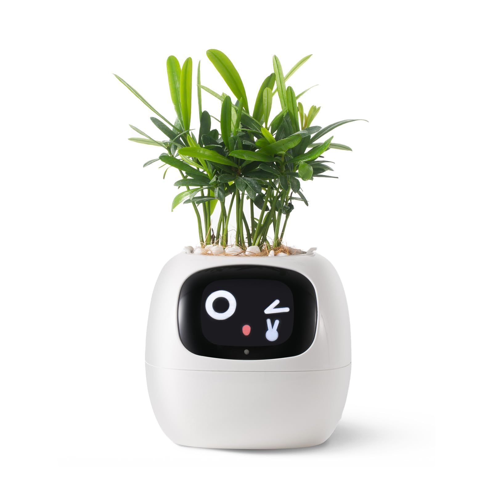 絵文字付き植物のケア 豊かなジェスチャーインタラクションを備えた愛らしい植物の仲間 きちんとしたデスクセットアップギフト ホワイト ロボットガイダンス スマートペットプランター PLANTSIO