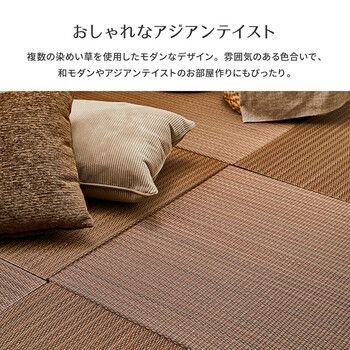 南風 2色展開