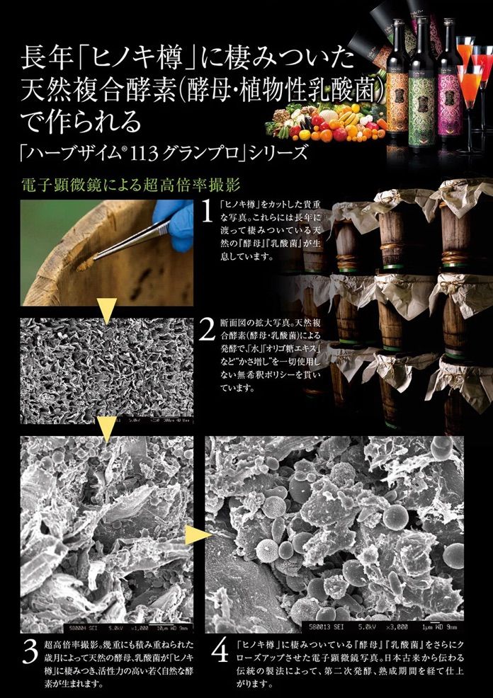 ● エステプロラボ
