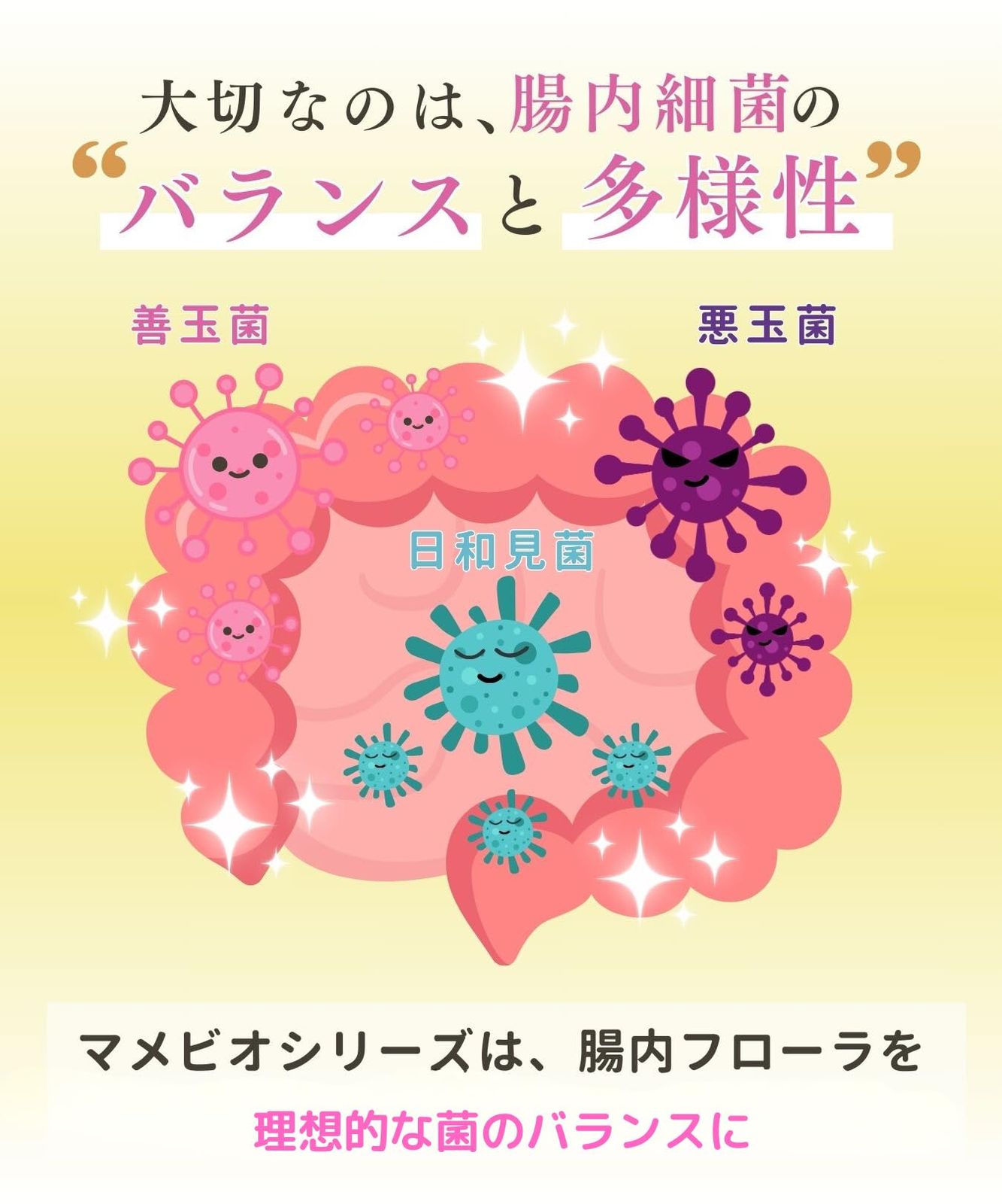 大学名誉教授監修】 マメビオフローラル 40カプセル 1箱 土壌菌