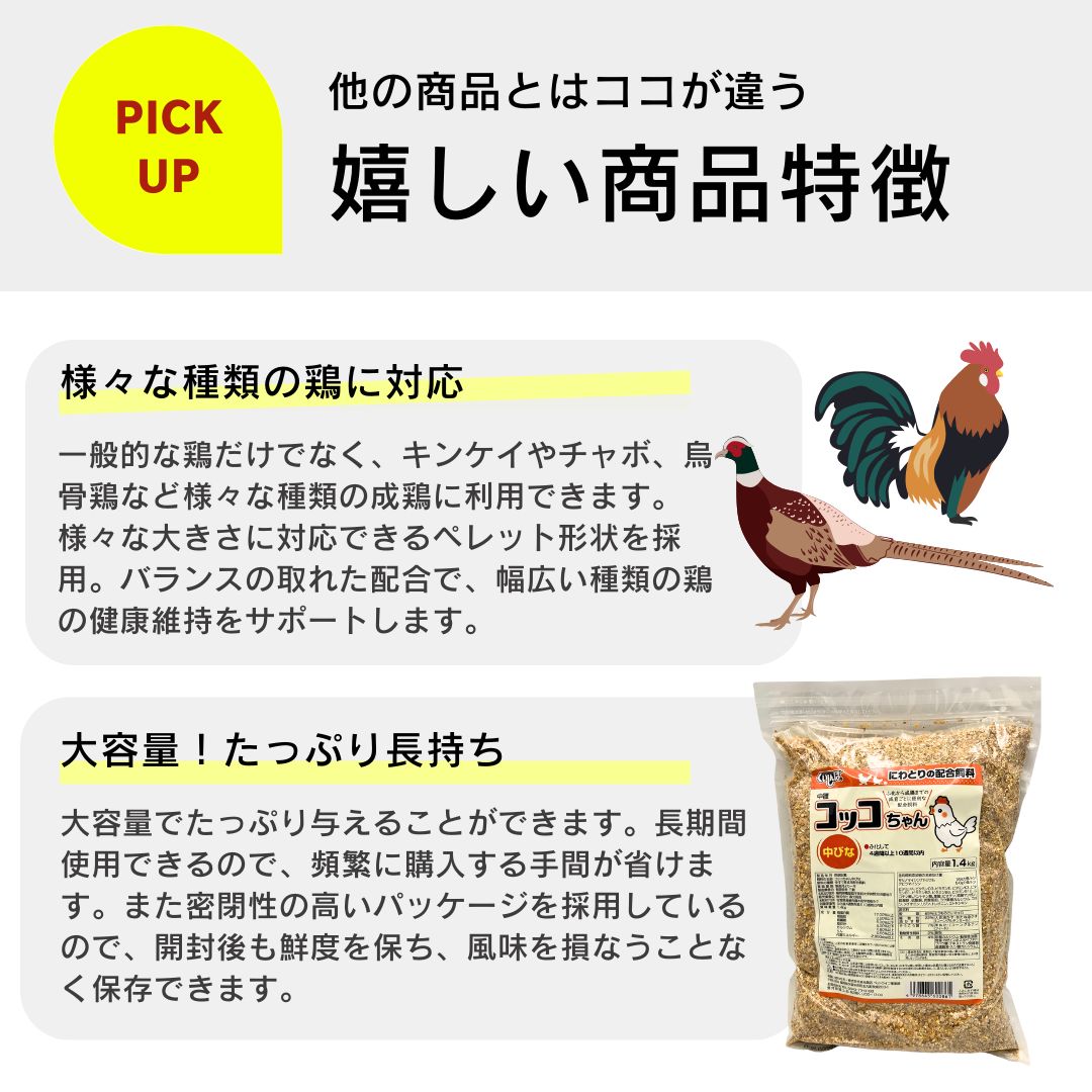 大容量