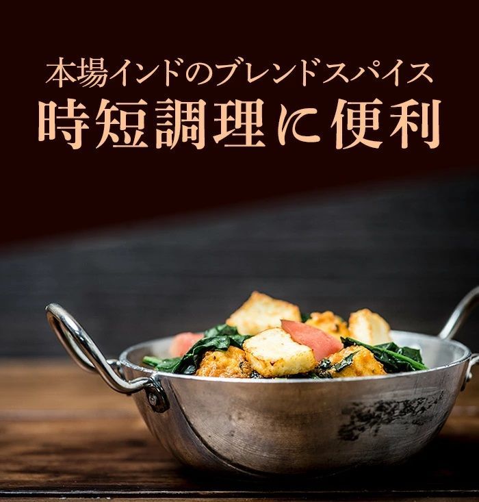神戸スパイス サンバルマサラ 100g × 1箱 sambhar masala AS036700001